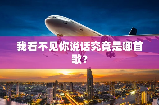 我看不见你说话究竟是哪首歌？