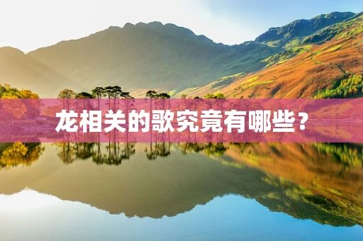 龙相关的歌究竟有哪些？