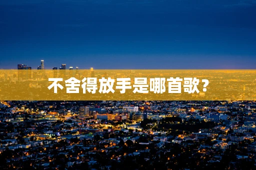 不舍得放手是哪首歌？