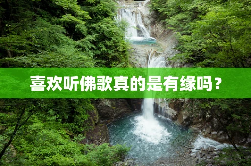 喜欢听佛歌真的是有缘吗？