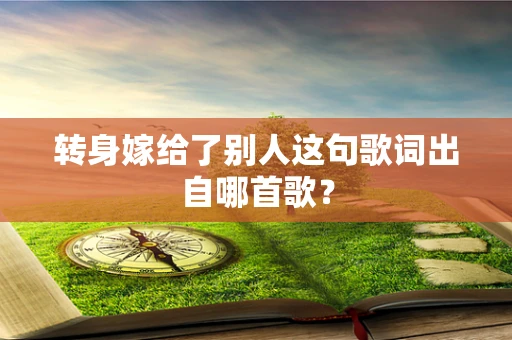 转身嫁给了别人这句歌词出自哪首歌？