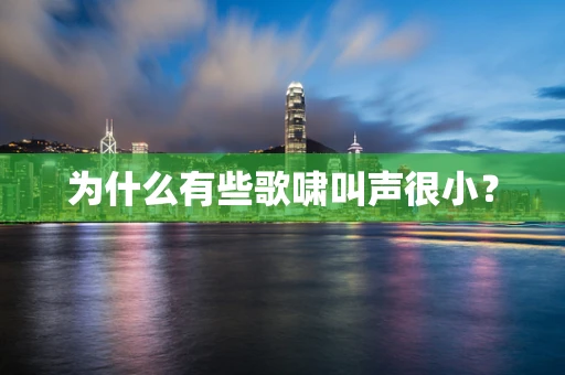 为什么有些歌啸叫声很小？