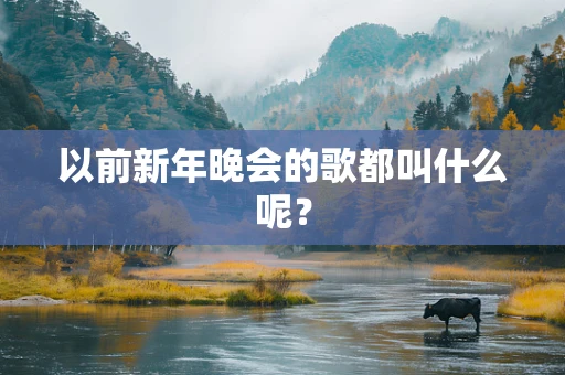 以前新年晚会的歌都叫什么呢？