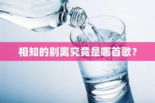 相知的别离究竟是哪首歌？