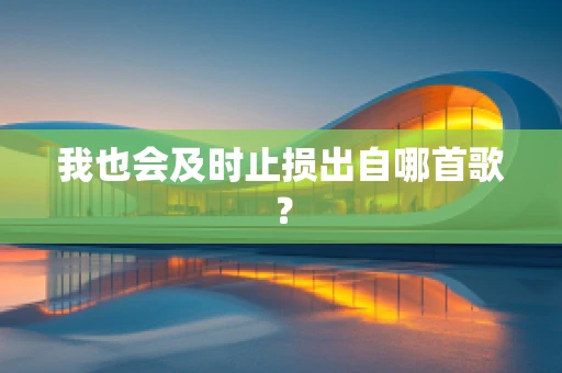 我也会及时止损出自哪首歌？