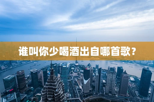 谁叫你少喝酒出自哪首歌？