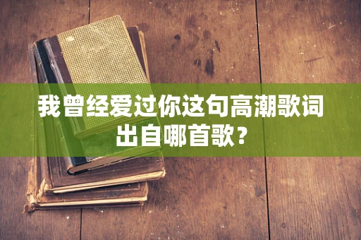 我曾经爱过你这句高潮歌词出自哪首歌？