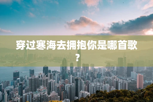 穿过寒海去拥抱你是哪首歌？