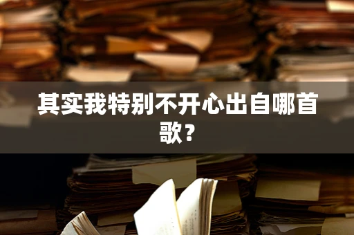 其实我特别不开心出自哪首歌？