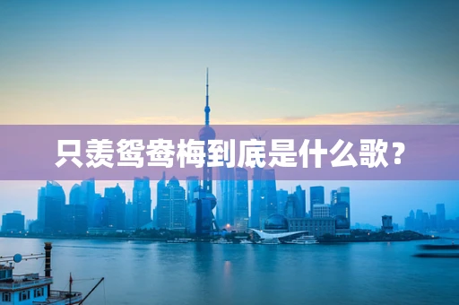 只羡鸳鸯梅到底是什么歌？