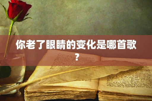 你老了眼睛的变化是哪首歌？