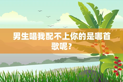 男生唱我配不上你的是哪首歌呢？