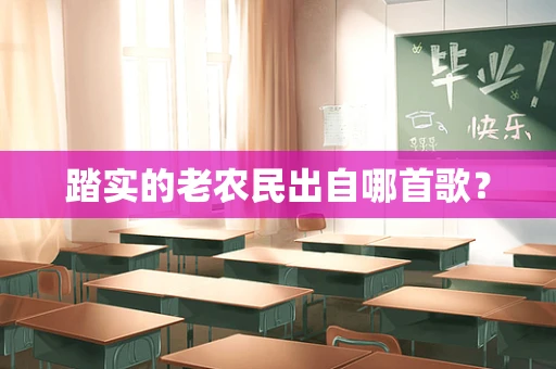 踏实的老农民出自哪首歌？