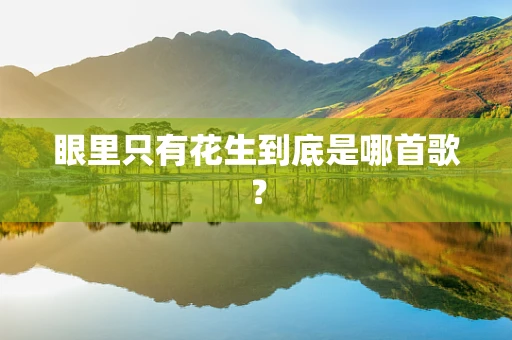 眼里只有花生到底是哪首歌？