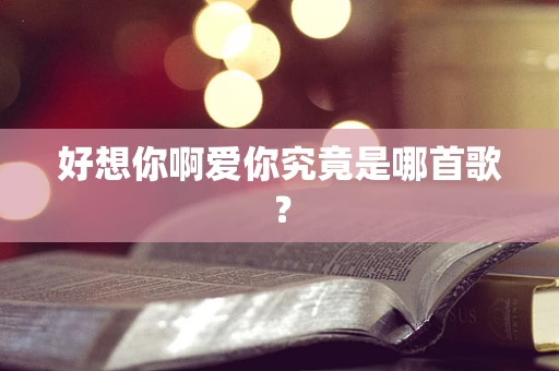好想你啊爱你究竟是哪首歌？