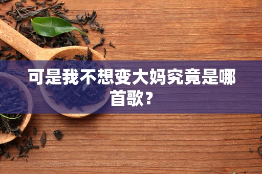 可是我不想变大妈究竟是哪首歌？