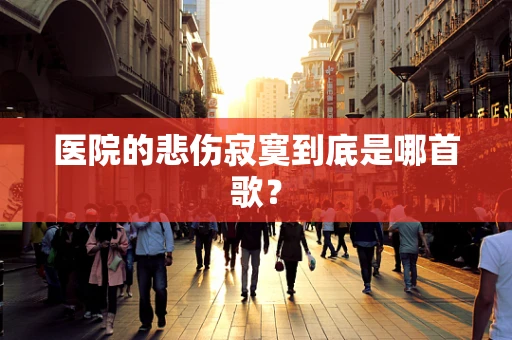 医院的悲伤寂寞到底是哪首歌？