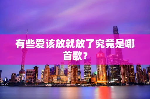 有些爱该放就放了究竟是哪首歌？