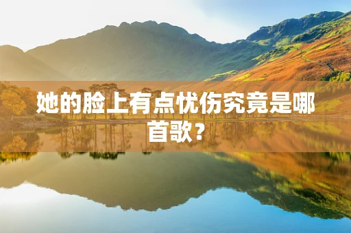 她的脸上有点忧伤究竟是哪首歌？