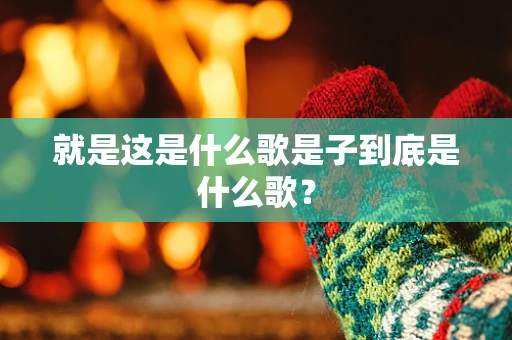 就是这是什么歌是子到底是什么歌？