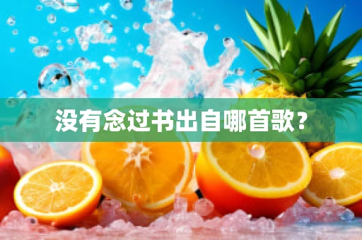 没有念过书出自哪首歌？