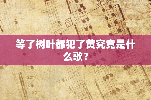 等了树叶都犯了黄究竟是什么歌？