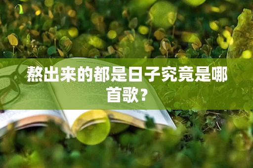 熬出来的都是日子究竟是哪首歌？