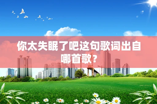 你太失眠了吧这句歌词出自哪首歌？