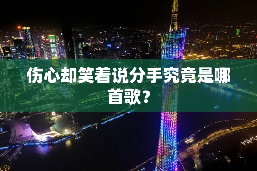 伤心却笑着说分手究竟是哪首歌？