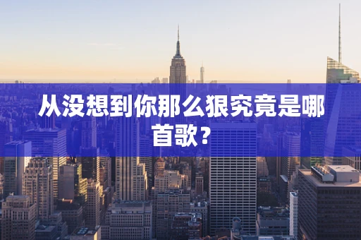 从没想到你那么狠究竟是哪首歌？