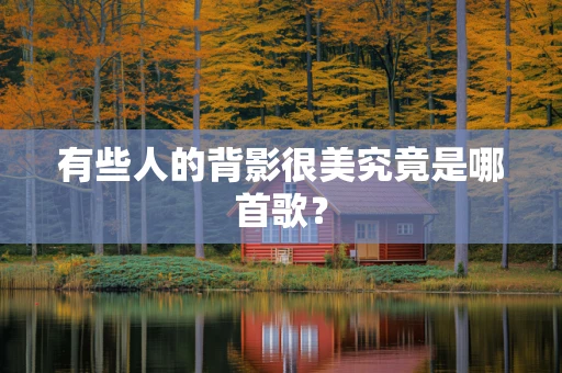 有些人的背影很美究竟是哪首歌？